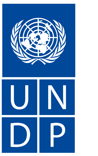 undp logo